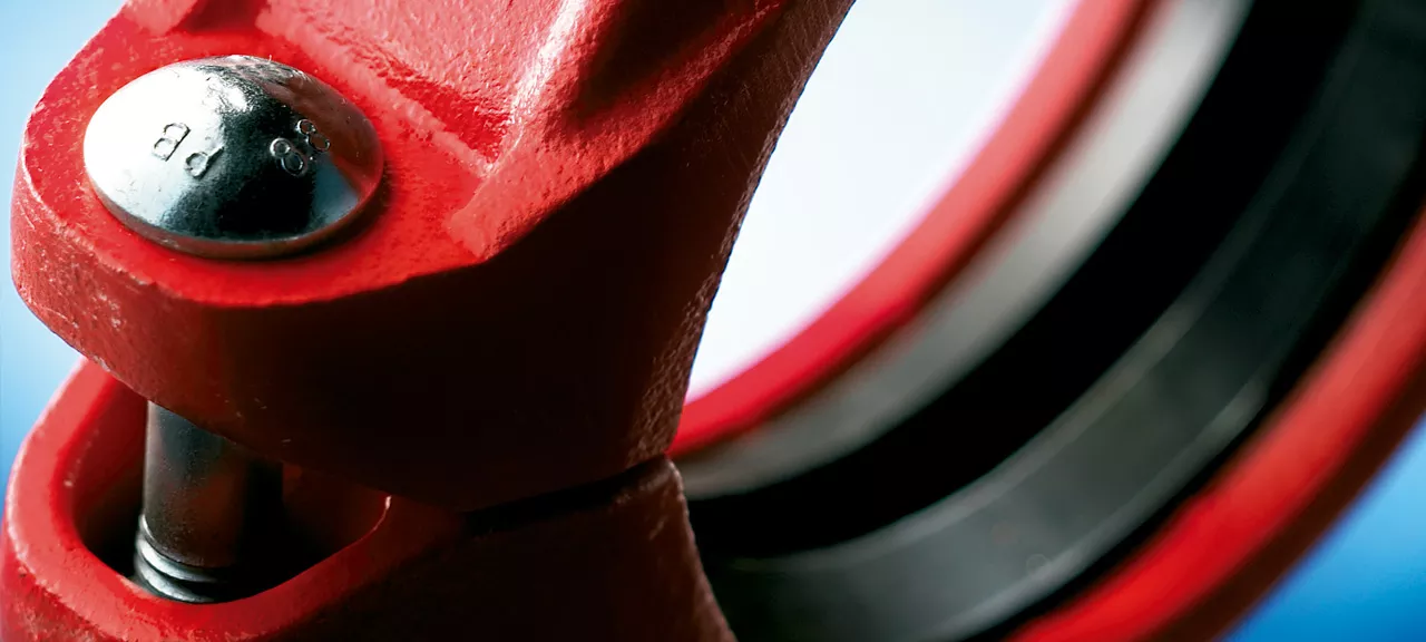 Accesorios, bridas y válvulas - Grupo Jannone Accesorios, bridas y válvulas - Grupo Jannone