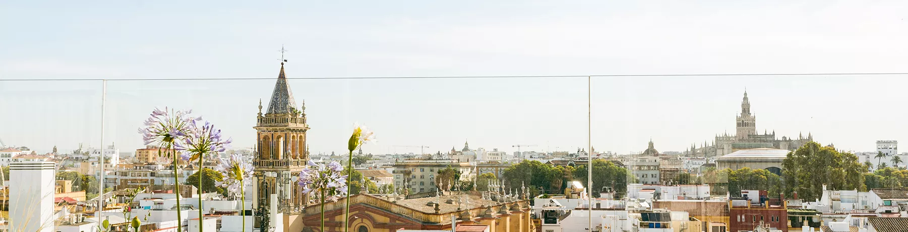 Real Estate - Grupo Jannone